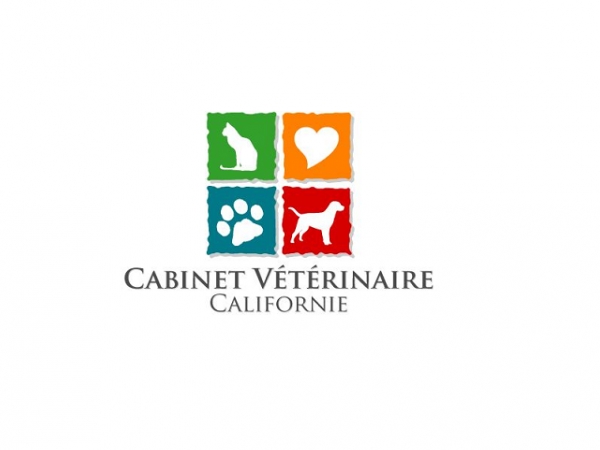 cabinet-veterinaire-californie à casablanca