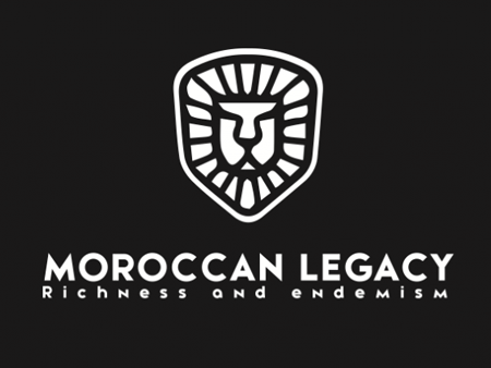 moroccan-legacy à casablanca